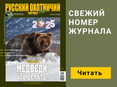 .22 LR: влияние сортировки патронов на кучность