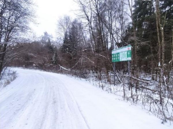 Лес под Можайском взяли под особую охрану