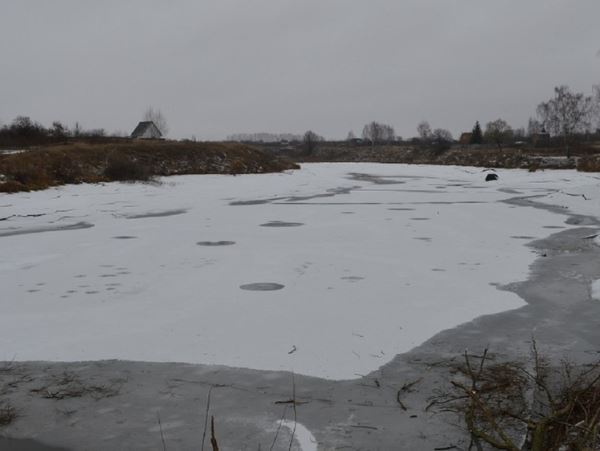 Еще 80 соток подмосковных водоохранных земель возвращают государству