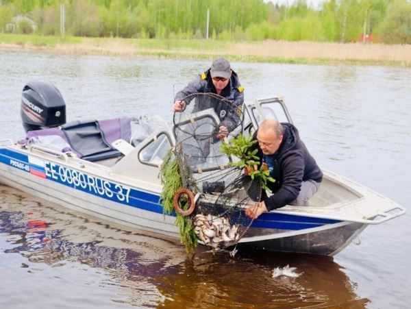 Ярославская рыбоохрана подвела итоги прошлого года