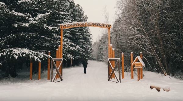 В кедровом бору Югры появилась новая экотропа