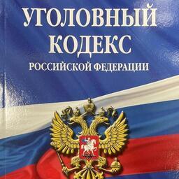 Сахалинца подозревают в незаконном вылове «краснокнижной» калуги