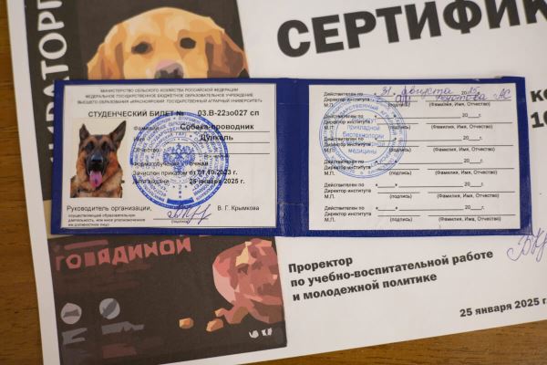В Красноярском крае собака получила студенческий билет