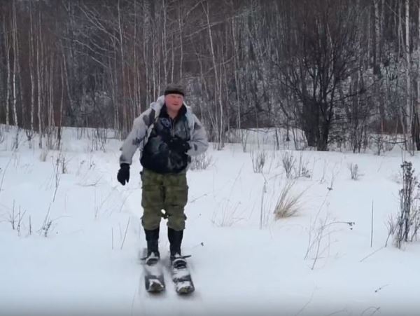 Заячий переполох. В Кировской области начался учет лесной живности