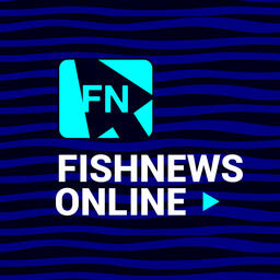 Рыбопереработка и внутренний рынок: читатели Fishnews рассказали о наиболее интересных темах