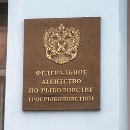 Росрыболовство запланировало новый квотный аукцион