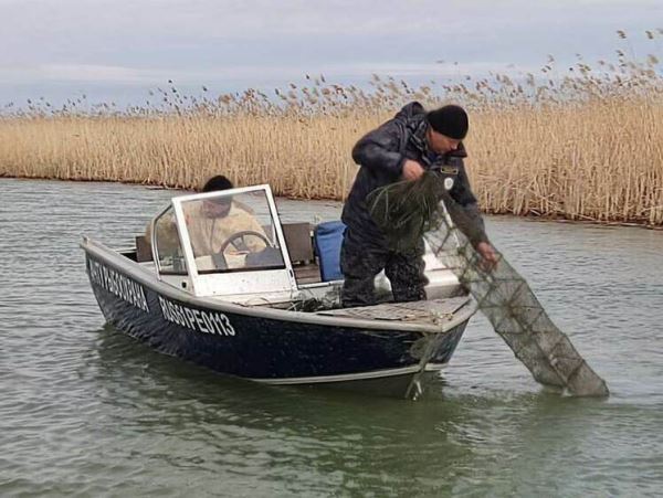 Пять случаев уголовно наказуемого браконьерства за неделю